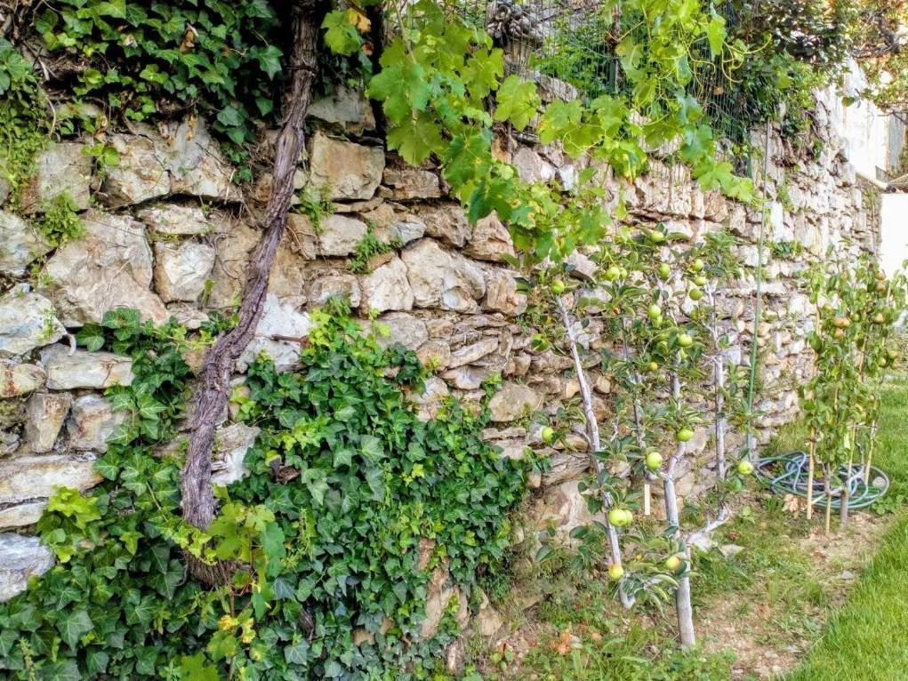 La Maison Jaffran, Suite En Ville Privas Zewnętrze zdjęcie